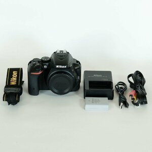 [良品｜シャッター数17,824回] Nikon D5500 / デジタル一眼レフ / ニコンFマウント