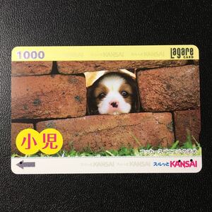 2011年4月1日発売柄ー「コッカースパニエルの子犬(小児)」ー阪急ラガールカード(使用済スルッとKANSAI)