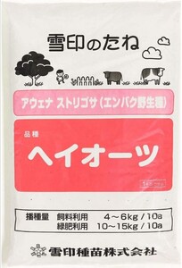 エンバク【緑肥】 ヘイオーツ　 200粒 種子 雪印　リビングマルチ　センチュウ対策　★同梱不可　エン麦　燕麦