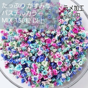 たっぷり 150粒 ビビッドカラー MIX かすみ草 ドライフラワー レジン