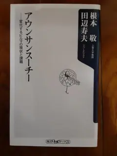 アウンサンスーチー 根本敦 田辺寿夫