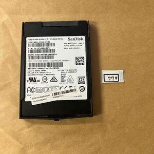 SSD 256GB#770#SanDisk SD8T8U256G1001:256.0GB