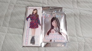 AKB48 SPECIALくじ 岩立沙穂 アクリルカードキーホルダー ロング缶バッジセット