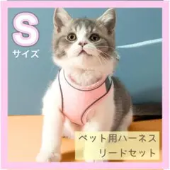 【Sサイズ】犬 猫 ペット用 リード付き ハーネス 散歩 簡単装着 水色＋ピンク