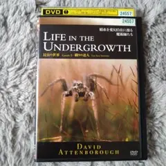 LIFE IN THE UNDERGROWTH Episode 3　レンタル落ち