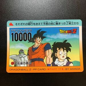 【並上品】ドラゴンボールZ カードダス アマダ PPカード パート17 No.723 孫悟飯