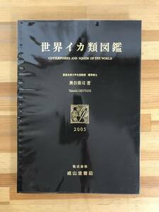 n18●世界イカ類図鑑 奥谷喬司 全国いか加工業協同組合 408種類掲載 2005年 成山堂 海洋生物 水産 スルメイカ ダイオウホウズキイカ 231206