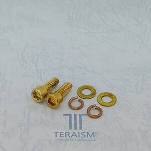 TERAISM BN-10 アーシング用M8ボルト ２個/物理&化学に於ける超強力静電気除去効果！装着部からエネルギー供給！最強のアーシングボルト！