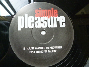 Simple Pleasure 試聴可 12EP レアNEW JACK SWING名曲収録 Just Wanted To Know Her / I Think I