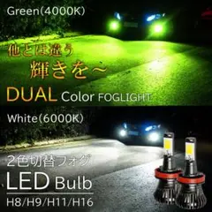 周りと違う輝き LED フォグ 2色切替 H8 H9 H11 H16 白 緑