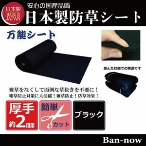 （②黒 126ｃｍ×10ｍ）厚手 雑草防止 除草 Ban-now 万能 防根 防草シート (5)