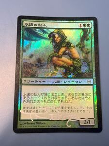 foil大量出品中 MTG 永遠の証人/Eternal Witness サインド Terese Nielsen先生本人の直筆サイン入り foil 日本語版 フィフス・ドーン 5DN 