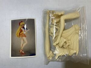 46755-3【自宅保管品】美少女戦士セーラームーン セーラービーナス ガレージキット ガレキ フィギュア