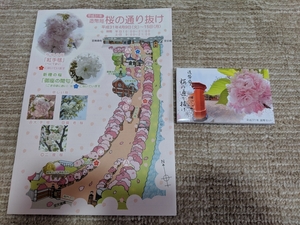 平成31年 大阪造幣局桜の通り抜け 貨幣セット パンフレット付き