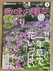 NHK趣味の園芸2024年3月号 一年草で花いっぱい/憧れの青い花/タネまき/ブルーデージー/花木ほか　送料185円