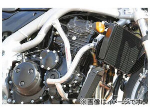 ゴールドメダル スラッシュガード バフ仕上げ サブフレーム付き SGT01-1 トライアンフ SPEED TRIPLE 2002年～2003年 2輪