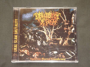 DISFIGUREMENT OF FLESH/PSYCHOTONIC ABNORMAL DISMEMBERMENT/スラミング・ブルータル・デス・メタル/オリジナル/SLAMMING BRUTAL DEATH