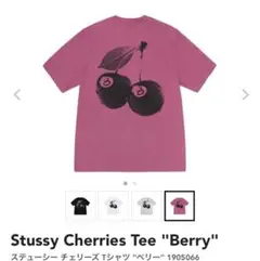 Stussy Cherries Tee "Berry"