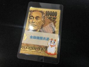 1万円 ゴールド 黄金 白蛇 本物 抜け殻 置物 白ヘビ 蛇 脱殻 抜殻 開運 フクロウ