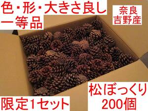 色・形・大きさ良し 奈良・吉野産◆天日干し 松ぼっくり 200個 松かさ 直径約6センチ◆飾り付け クリスマスツリー 保育園 幼稚園 こども園