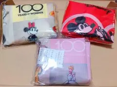 Disney ディズニー エコバッグ 100周年 宝島社