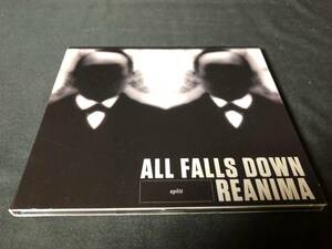 All Falls Down & Reanima - Split EP CD　デスコア　グラインド