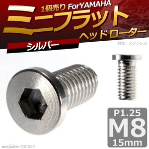 M8×15mm P1.25 ブレーキディスク ローターボルト ヤマハ用 ミニフラットヘッド 六角穴付きネジ 車/バイク シルバー 1個 TD0037