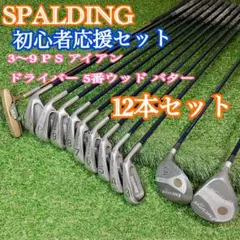 初心者応援 SPALDING EXECUTIVE メンズ 12本セット アイアン