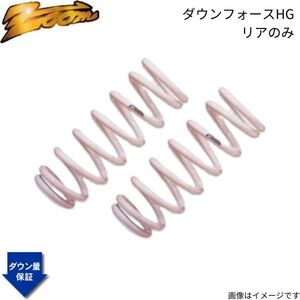 ダウンサス ベクトラワゴン(XH) XH200W ズーム ダウンフォースHG オペル 1995/10～2002/07 X20 2.0L リア