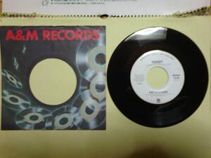 Cat Stevens : Randy ( mono ) / Same ( stereo ) ; USA A & M promotion copy 7 inch 45 with Label Sleeve // 2126-(S)