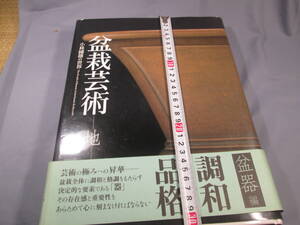 もと丸　山野草　盆栽　富貴蘭　本　盆栽芸術