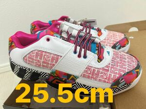 adidas バスケットボール スニーカーAgent Gil Restomod シューズ　25.5cm スニーカー