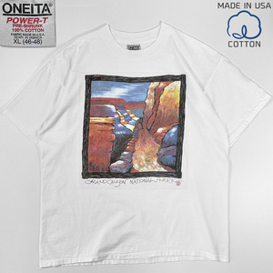 90s ビンテージ◎アート T グランドキャニオン ONEITA Tシャツ XL 美品 オニータ GRAND CANYON ART 90年代 // アメリカ製 USA製 コットン