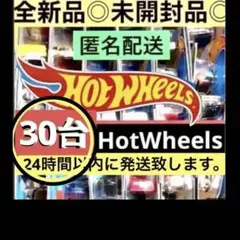 新品 ✨ HOTWHEELS ✨ホットウィール 30台 スーパートレジャーハント