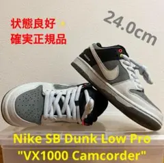 Nike SB Dunk Low Pro "VX1000 Camcorder"