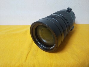 Panasonic VARIO-ELMAR 1:4.0-6.3/100-400 LEICA レンズ