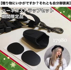 【安41】限定1セット　ハーネスストラップ　キャップ　パッチ