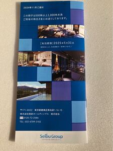 西武ホールディングス　株主優待　株主さまご優待冊子　500株以上1000株未満　冊子のみ 有効期限　2025年5月31日