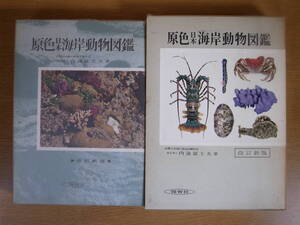 8 原色日本海岸動物図鑑 内海富士夫 保育社 昭和47年 改訂3刷
