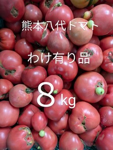 熊本の八代トマトワケ有り品８kg