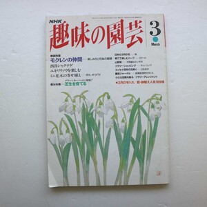 特2 51282 / NHK 趣味の園芸 1994年3月号 巻頭特集:モクレンの仲間 西洋シャクナゲ ユキワリソウを楽しむ ミニ花木の寄せ植え 芝生を育てる