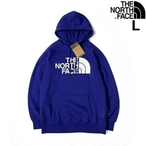 1円～!売切!【正規新品】THE NORTH FACE◆W HALF DOME PULLOVER HOODIE パーカー US限定 ハーフドームロゴ 裏起毛 男女兼用(L)青 181130-23