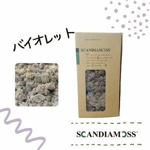 スカンディアモス SCANDIAMOSS バイオレット 50ｇ ディスプレイ 苔 モス 天然素材 空気清浄効果 全26色