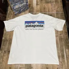 【メキシコ産】 patagonia パタゴニア ホワイト Tシャツ Lサイズ