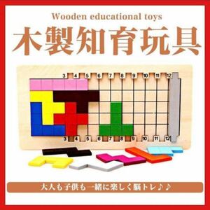 ペントミノパズル カタミノ 知育 おもちゃ 子供 玩具 モンテッソーリ 勉強　教育　知育玩具　木の板　ボードゲーム　説明書　１3