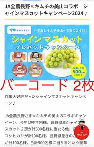  2口応募可能☆JA全農長野×キムチの美山コラボ　シャインマスカット 2房/長野県産コシヒカリ/長野県産きのこ詰め合わせセット