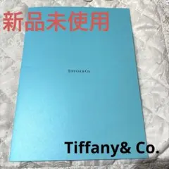 【新品未使用】Tiffany& Co. ティファニー 婚姻届 令和版 即日発送