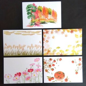 送料込み★新品 未使用 ポストカード5枚 秋 イラスト 紅葉 すすき 秋桜 柿 絵葉書 風景 季節 国境なき医師団