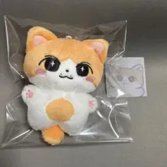 ジュン　ぬいぐるみ　10cm 新品　マスター　セブチ　svt