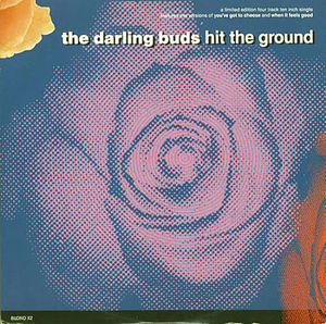 【レコード】The Darling Buds / Hit The Ground / LIMITED EDITION / 0965 / 限定盤 / 10 インチ